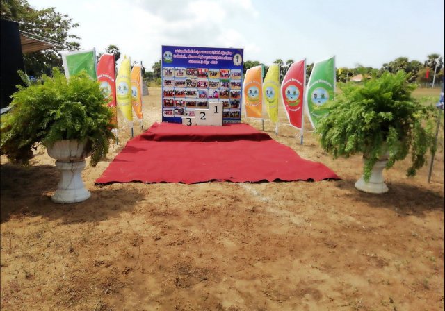 division sports 2019 1
